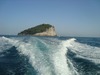 IP1T Image